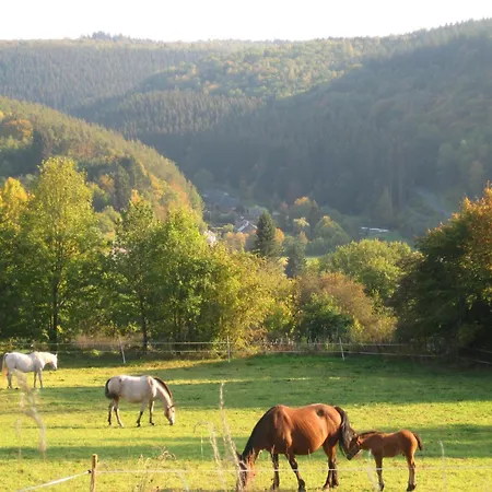 Tranquil Ardennes Retreat, Cleaning Included Casa vacanze